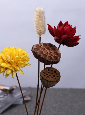 莲蓬莲藕荷花客厅玄关