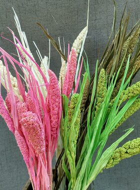 小米干花花束天然风干真花干草