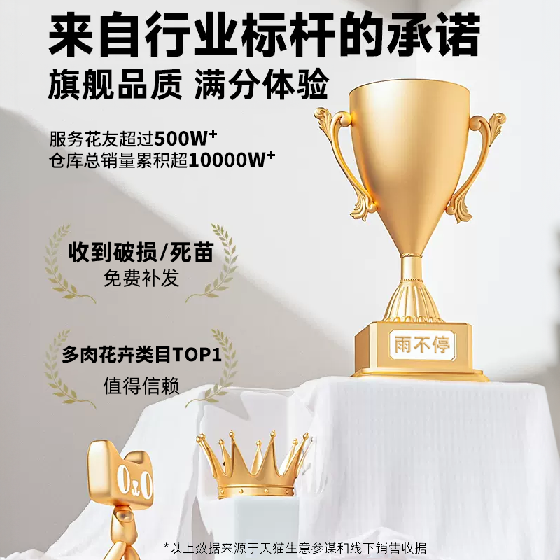 多肉小盆栽室内植物大颗好养带盆精品肉肉玉露办公室桌面懒人绿植,淘宝优惠券,粉丝福利购,淘宝优惠卷