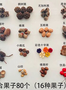 秋天果实橡果松果幼儿园环创材料包拍摄道具手工diy果子 40种200
