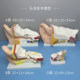 Multiple pieces of anatomical structure teaching model with amplified ear