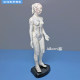 48cm high female acupuncture point model