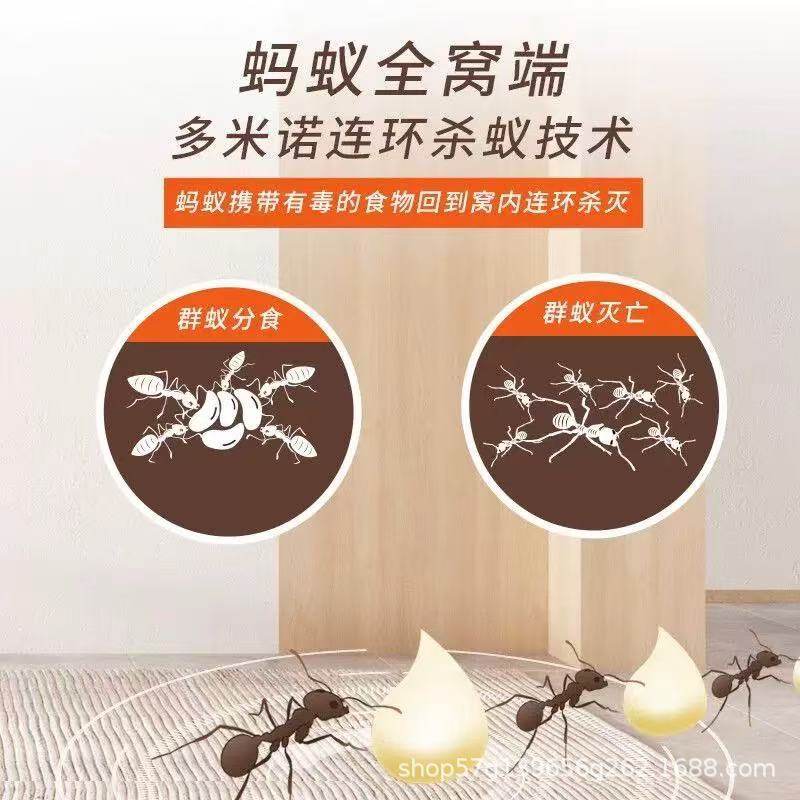 灭蚂蚁室内外家用厨房强力灭蚁菜地花盆红蚂蚁黑蚂蚁方便贴饵剂,淘宝优惠券,粉丝福利购,淘宝优惠卷