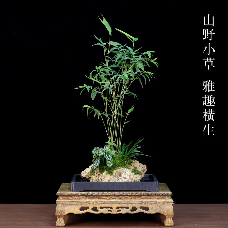 图3