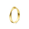 Hidden Hidden Möbius Strip 3.0 Ring