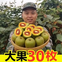 Now Picking Sichuan Exotic Great Fruits Pujiang Red Heart Macaque Peach Mass Fresh Fruit Fresh When Season 1 catty 5