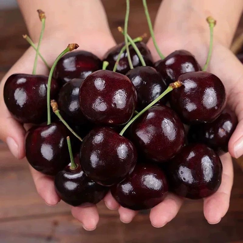 【现货】新鲜车厘子智利进口整箱高档大果樱桃孕妇当季新鲜车厘子,淘宝优惠券,粉丝福利购,淘宝优惠卷
