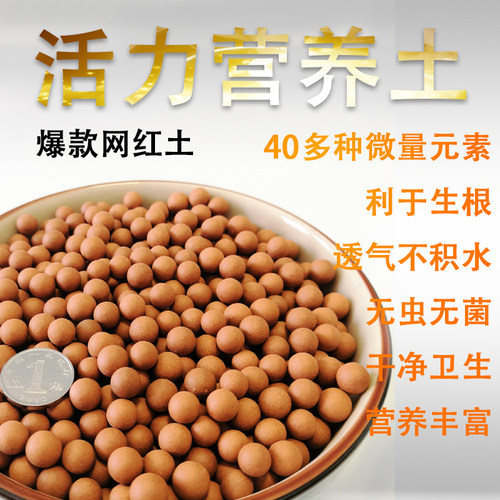 活力营养土多肉颗粒土活力球球土多肉专用无虫无菌利于生根铺面 - 图1