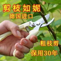 German imports SK5 fine steel fruit tree scissors pruner pruner cut fruit cut branches gardening branches gardening branches