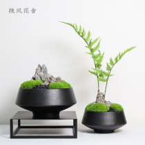 New Chinese Plant Bonsai Evergreen Moss Table Pendulum Table Flower Emulation Fern Hotel Restaurant Dining Table Decoration Pendulum