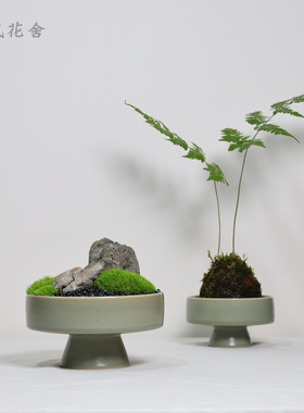 新中式盆景永生绿植苔藓花艺摆件