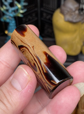 天然保真血柳活柳海柳文玩摆件