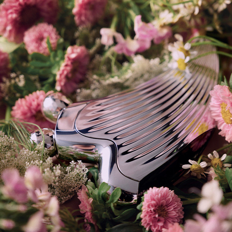 refa瘦脸仪caxa ray美容仪脸部 refa电子美容仪