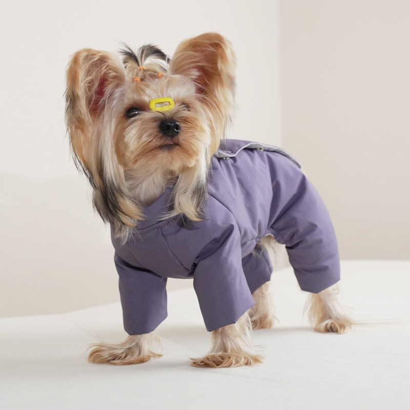 【汪联】比熊泰迪小型犬90绒纯棉内里防水纯色四脚羽绒服【公母】 - 图0