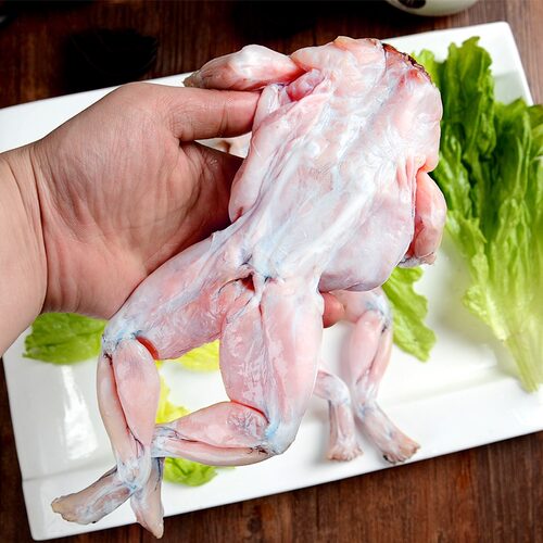 按只免费宰杀鲜活牛蛙 美蛙 大牛蛙活体牛蛙腿冷冻包邮 食用蛙 - 图2