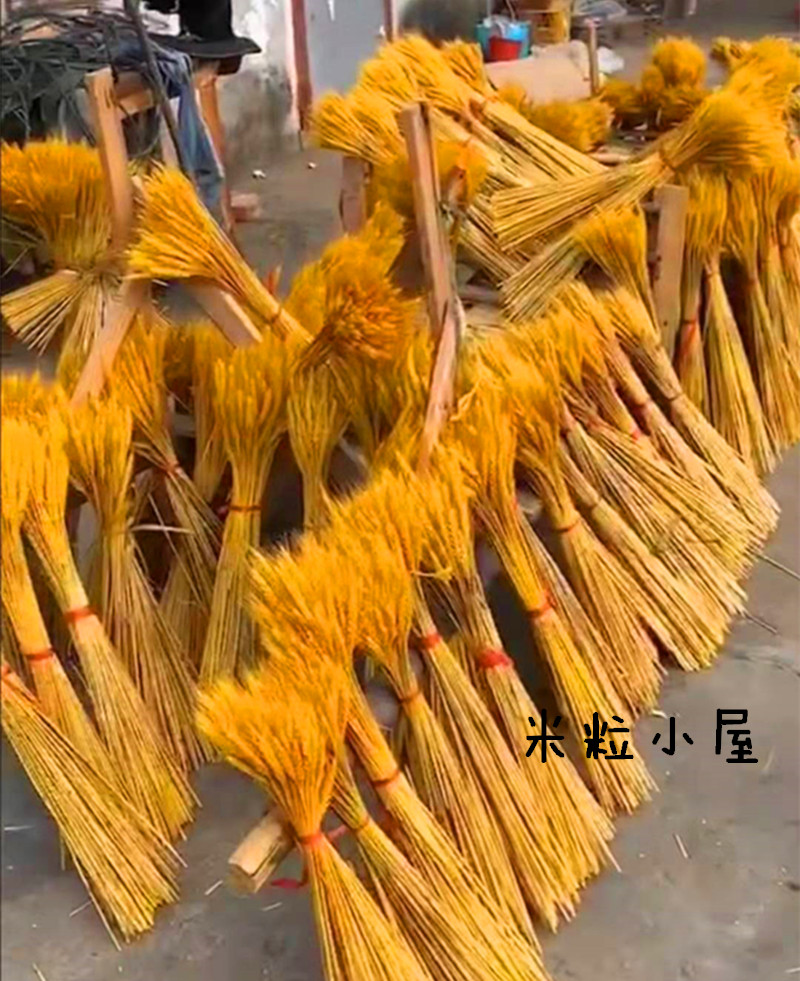 天然麦穗干花花束开业大麦田园装饰摆件拍摄道具稻穗干花真花包邮-图0