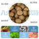 Universal Turtle Feed Wantangle Flame Turtle Crocodile Turtle