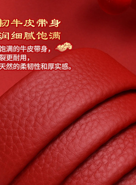 女士皮带皮尔卡丹牛皮百搭