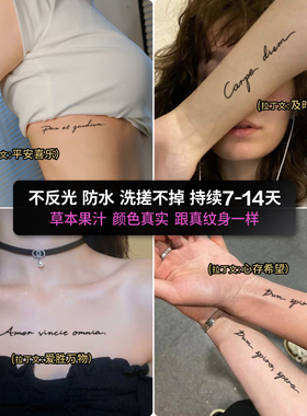 拉丁文字母草本纹身贴20贴/8张装
