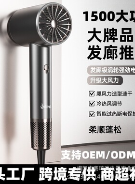 跨境吹风机源头工厂家用蓝光护发电吹风外贸新款大功率速干吹风机