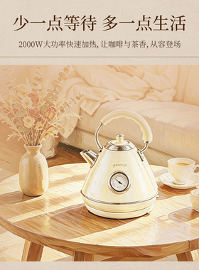 gorenje/古洛尼经典复古电热水壶不锈钢家用K52W
