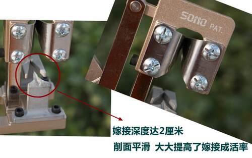 正品台湾sono嫁接机苗木嫁接器嫁接刀升级版2cm深度J68粗枝嫁接 - 图1