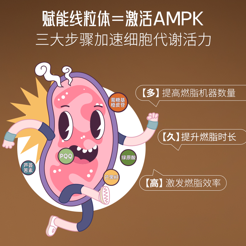 澳洲BIOE线粒体AMPK代谢咖啡胶囊健身 - 图3