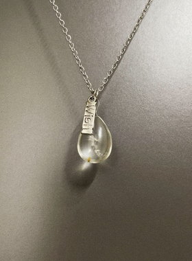 Vintage古着 Water drop dandelion项链