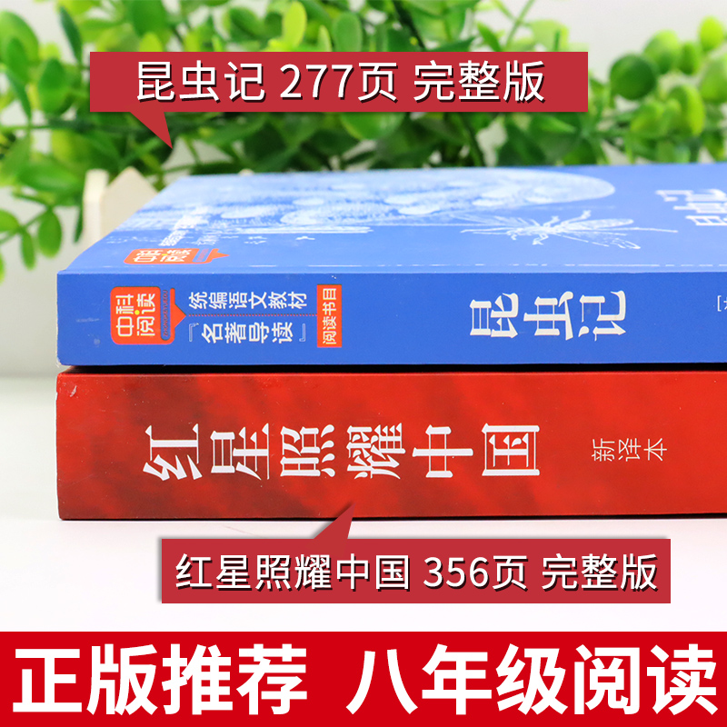 红星照耀中国和昆虫记原著必读正版完整版八年级上册课外书初二8上课外阅读书籍推荐书目导读版新华初中名著老师红心闪耀照亮书店 - 图0