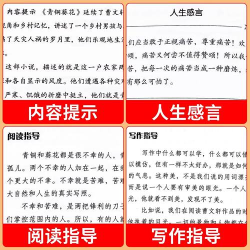 全套5册 青铜葵花正版曹文轩原著完整版四年级下册阅读课外书必读正版书籍小英雄雨来与宝葫芦的秘密海的女儿快乐读书吧四下全集 - 图2
