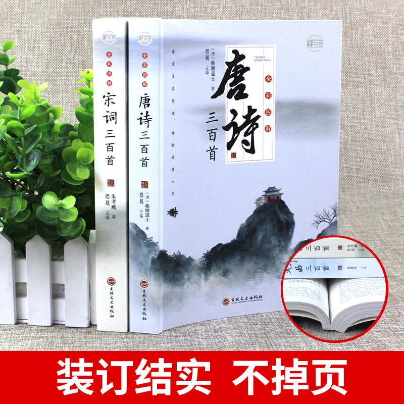 全套2册 唐诗宋词三百首正版全集 古诗大全集书全中国古诗词书籍全套小学生宋诗300首高中初中版鉴赏辞典诗集诗歌古文经典国学精选 - 图0