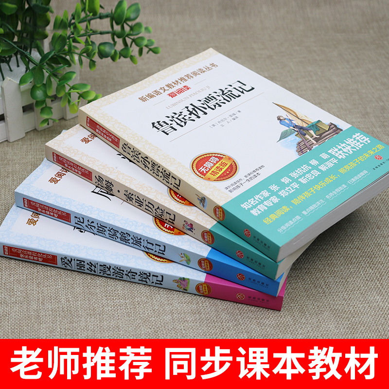 全套4册 鲁滨逊漂流记六年级下册必读正版的课外书原著完整版汤姆索亚历险记骑鹅旅行记快乐读书吧上册童年爱的教育小英雄雨来孙 - 图2