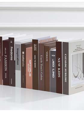 现代北欧摆件装饰仿真书道具创意