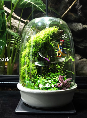 Bioloark生物方舟微景观生态瓶DIY露集杯陶瓷底桌面摆件苔藓闷养