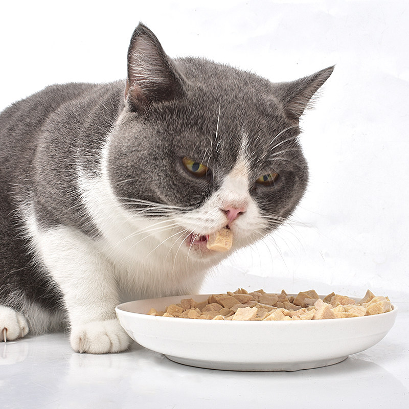 冻干猫零食鸡肉粒宠物鸡胸肉营养增肥发腮狗狗猫粮全家桶猫咪零食,淘宝优惠券,粉丝福利购,淘宝优惠卷