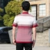 Mùa hè trung niên nam ngắn tay áo thun cotton ve áo lỏng lẻo trung niên nam cha 40-50 tuổi áo mỏng - Polo áo thun cotton nam Polo