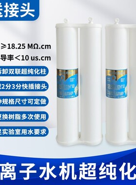 超纯水机离子交换柱去离子纯水柱可拆卸去离子超纯化柱纯度