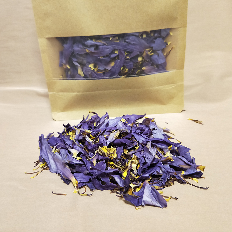 Blue Egypt Floral Flower Cut Nymphaea Caerulea Broken Tea-图0