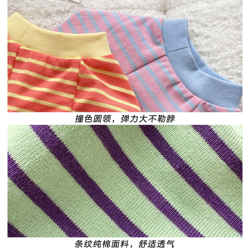吸吸果冻～韩风宠物衣服秋季泰迪秋装雪纳瑞纯棉居家T恤猫咪薄款 - 图2