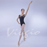 Vivgio