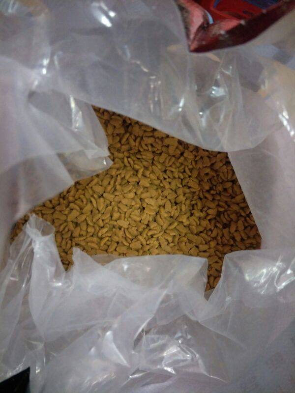 妙琦宠物猫粮5斤装山茶油幼猫小猫成猫全体型猫咪包邮,淘宝优惠券,粉丝福利购,淘宝优惠卷