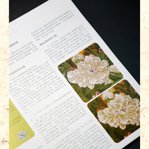 【官方正版】宋画小品技法精解：工笔花鸟 12幅宋画原大+局部放大 1:1临摹全流程 中国画工笔花鸟绘画初学者临摹画法详解教程书籍 - 图3