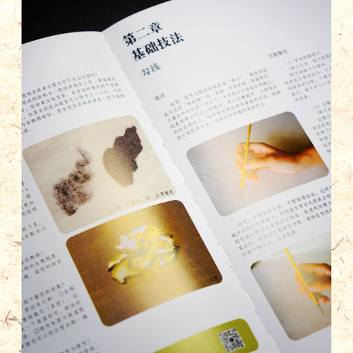 【官方正版】宋画小品技法精解：工笔花鸟 12幅宋画原大+局部放大 1:1临摹全流程 中国画工笔花鸟绘画初学者临摹画法详解教程书籍 - 图2