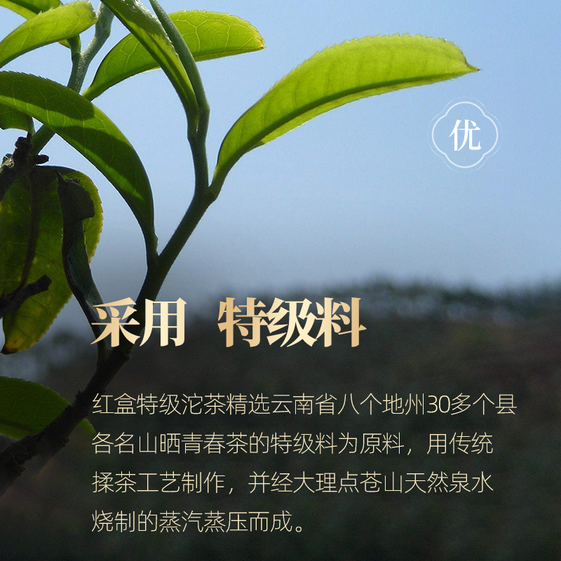 2012年云南下关特级沱茶盒装生茶普洱茶特盒老茶院舍芽头香甜 - 图1