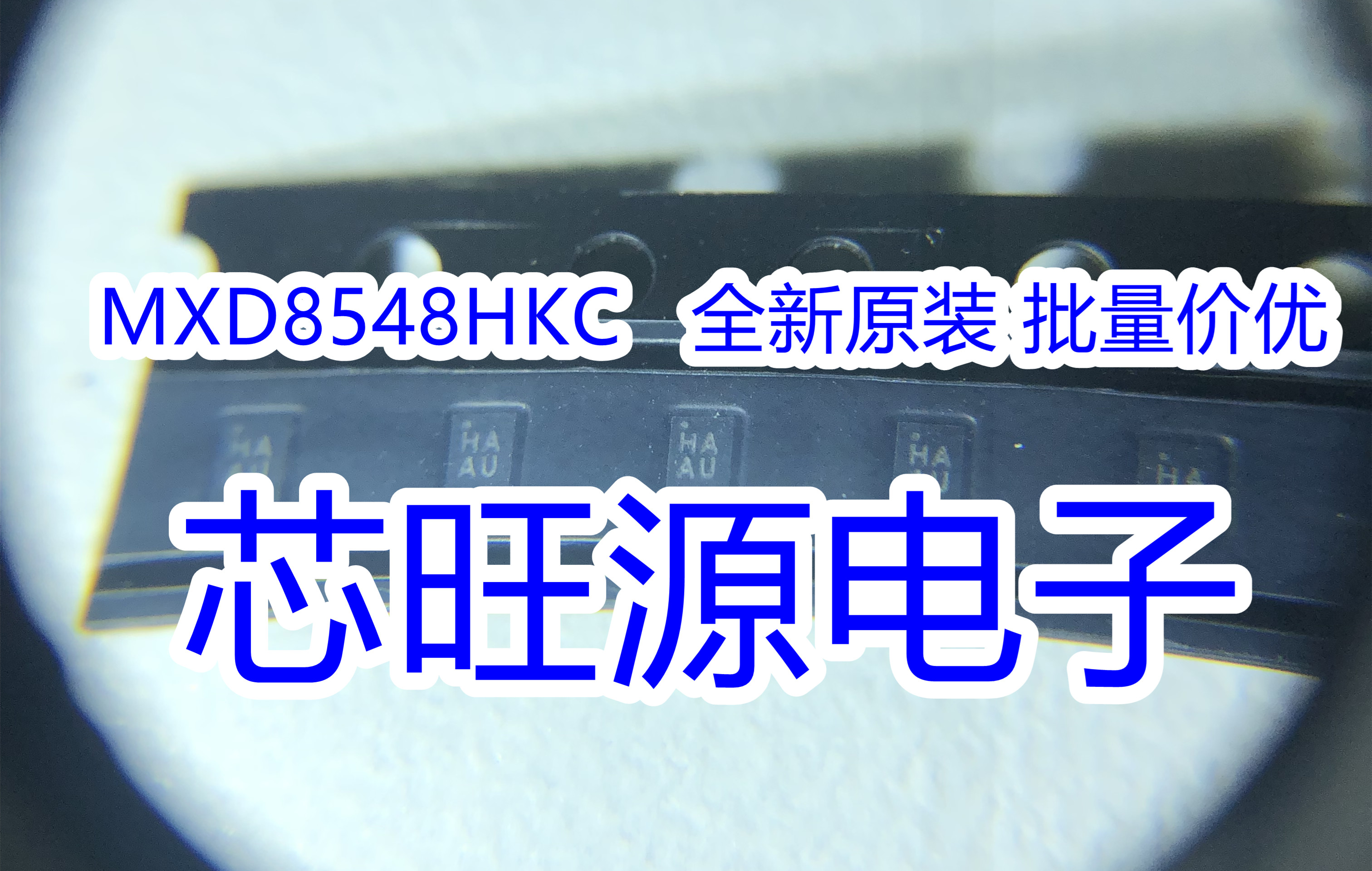市場 ポイント10倍 卓上ボール盤 東洋アソシエイツ 直送品 REXON 市場 ポイント10倍 卓上ボール盤 東洋アソシエイツ 直送品 REXON