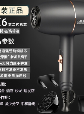 德国三插头电吹风机家用大功率速