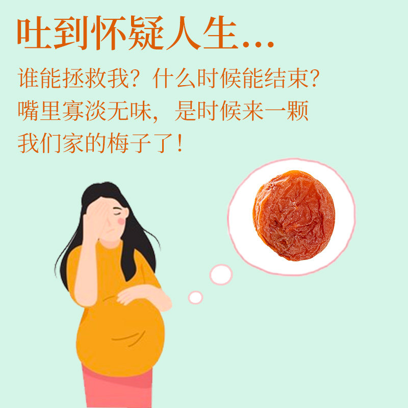 蜂蜜梅饼日式陈皮梅饼无核孕妇梅 lojoin乐囧食品梅类制品