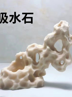 台湾吴定石景观上水石吸水石花盆金钱菖蒲盆附石假山石捕虫堇摆件