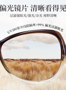 2026新款偏光防紫外线女墨镜