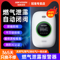 Sea Convisees Gas Alarm Home Kitchen Anti-Leaking Propane Gas Carbon Monoxide Gas Alarm